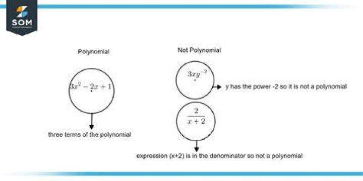 Difference between polynomial and power series