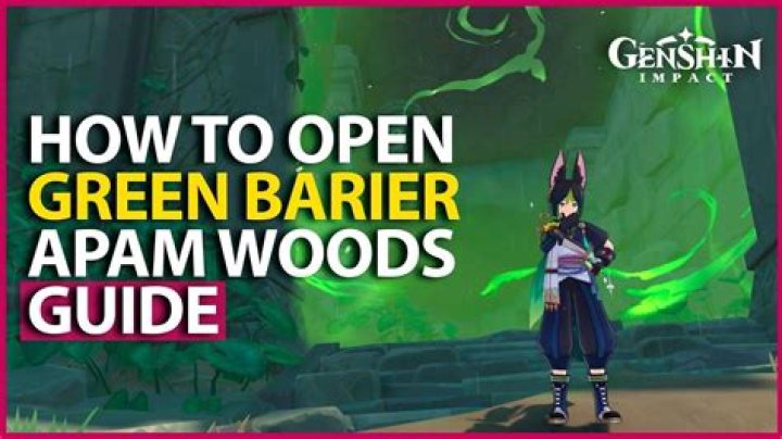 How to open green chest in Perdida?
