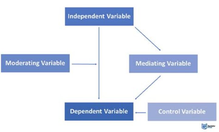 How to use newton's method on a function of multiple variables?