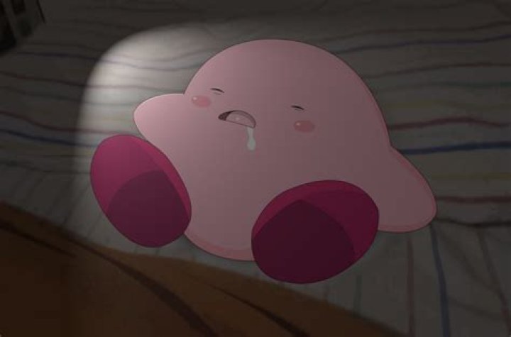 Kirby asleep in bed