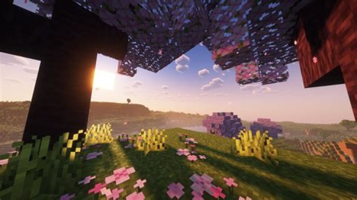 My Minecraft looks pixelated