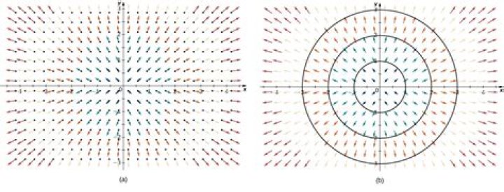 Unit radial vector field